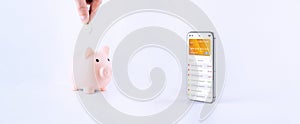 Online payment. Smartphone with internet online bank application. Pig bank with usd money cash on white background. Save