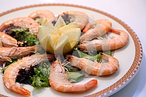 Online prawns photo