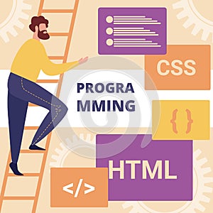 Online Project Css Html Coding and Programming