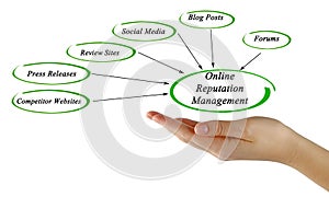 Online Reputation Management