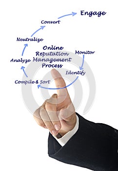 Online Reputation Management Process