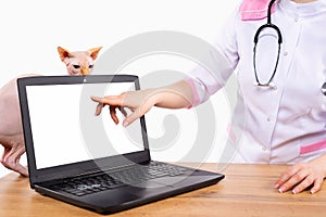 The online services or registrations concept. Informative image with a veterinarian& x27;s index finger pointing to a white
