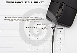 Online Survey