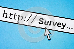 Online survey