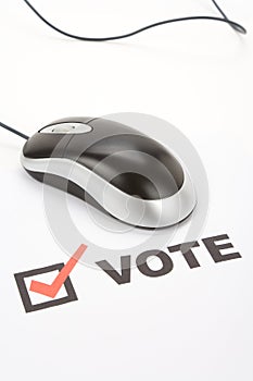 Online Voting