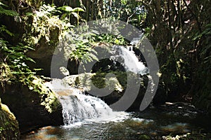 Onomea Falls flowing down a rocky hillside in a rainforest in Papaikou, Hawaii