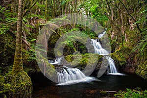 Onomea Falls in Hawaii