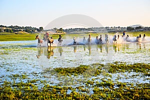 The onrushing coursers in the lake