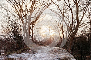 Onuma Koen Quasi -National park in peaceful cold winter with snow. Hakodate, Hokkaido - Japan