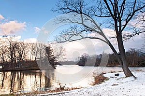 Onuma Koen Quasi -National park in peaceful cold winter with snow. Hakodate, Hokkaido - Japan