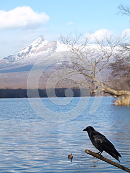 Onuma Quasi National Park