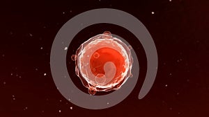 Oocyte_009