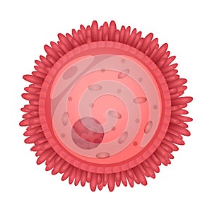 Oocyte photo