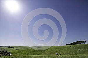 Ookibosochi, pasture in Toyotomi, Hokkaido,