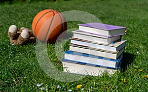 ooks on green grass, ball and toy in the background. Education kids concept.