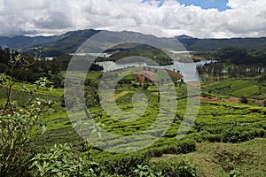 Ooty landscape a popular hill station in south India