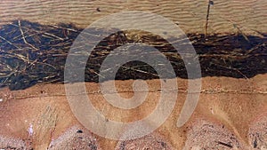 Ooze on sea comb. Mud in the Baltic Sea. Waves rolling on glossy sand on sunny day. Seaside background with copy space