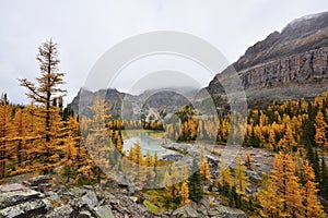 Opabin Plateau trail and Lake O`Hara