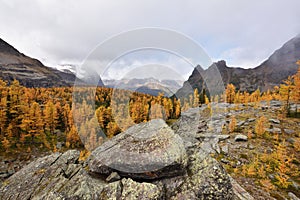 Opabin Plateau trail and Lake O`Hara