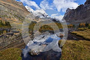 Opabin Plateau trail and Lake O`Hara