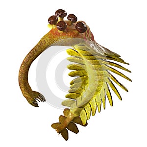 Opabinia regalis, prehistoric aquatic animal from the Cambrian Period isolated on white background 3d science rendering photo