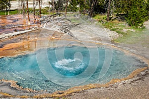 Opal pool geyser