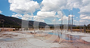 Opalescent Pool hot spring in the Black Sand Geyser Basin in Yellowstone National Park in Wyoming USA