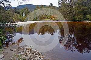 The Oparara River Near Karamea, New Zealand