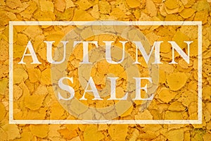 Opasity text AUTUMN SALE in rectangle on yellow autumn fallen leaves background. Autumn discount concept