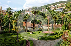 Opatija Croatia tropical garden photo