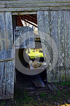 Opelousas, Louisiana Old Barn 05