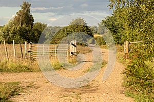 Open 5-bar wooden gate alongside single track running along farm land