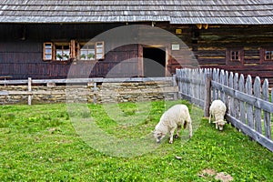 Open-air museum Zuberec