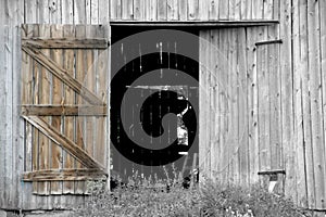 Open Barn Door photo