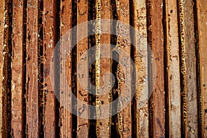 Open beehive with bees are crawling along the hive on honeycomb wooden frame. Apiculture concept