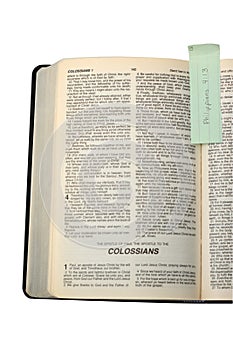 Open bible