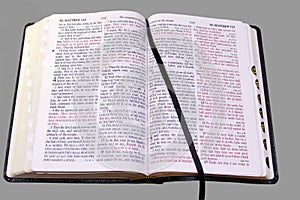 Open Bible photo