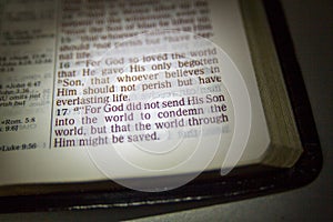 Open Bible and Bible Verse photo