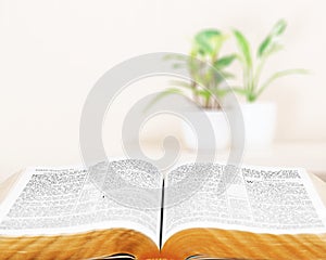 Open bible book, close-up view