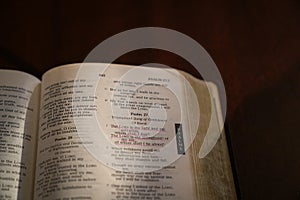 Open bible on a dark wood table