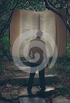 Open Bible in forest