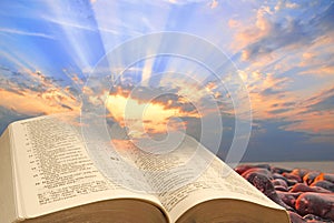 open bible golden harvest spiritual light god christ jesus jehovah wheat field parable miracles book