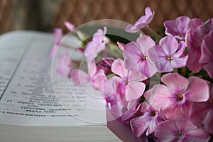 Open Bible and lilac flowers
