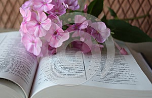 Open Bible and lilac flowers photo