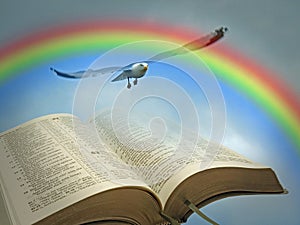 Open bible peace rainbow bird holy scripture heaven word of god