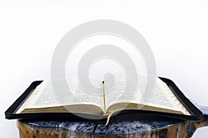 Open bible on the table. Holy Scripture on a white background.