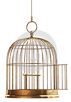 Open Bird Cage