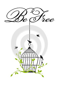 Open birdcage with free birds, vector