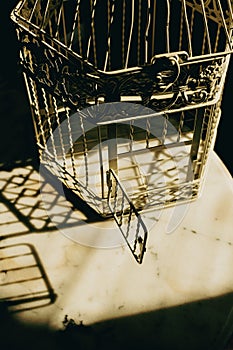 An open birdcage in a yellow sunlight standing on a vintage table