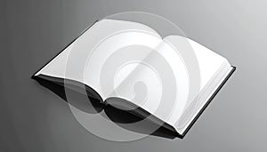 Open Blank Book on Reflective Surface